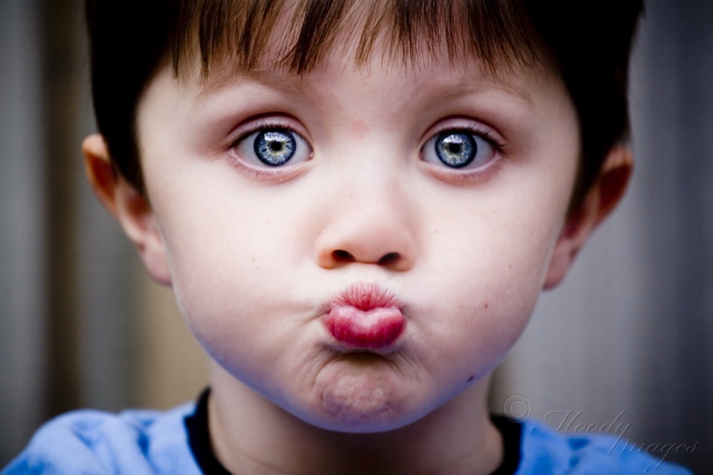 T. Ágoston László: A zseni